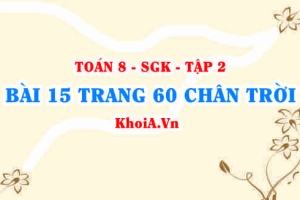 Bài 15 trang 60 Toán 8 Chân trời sáng tạo Tập 2